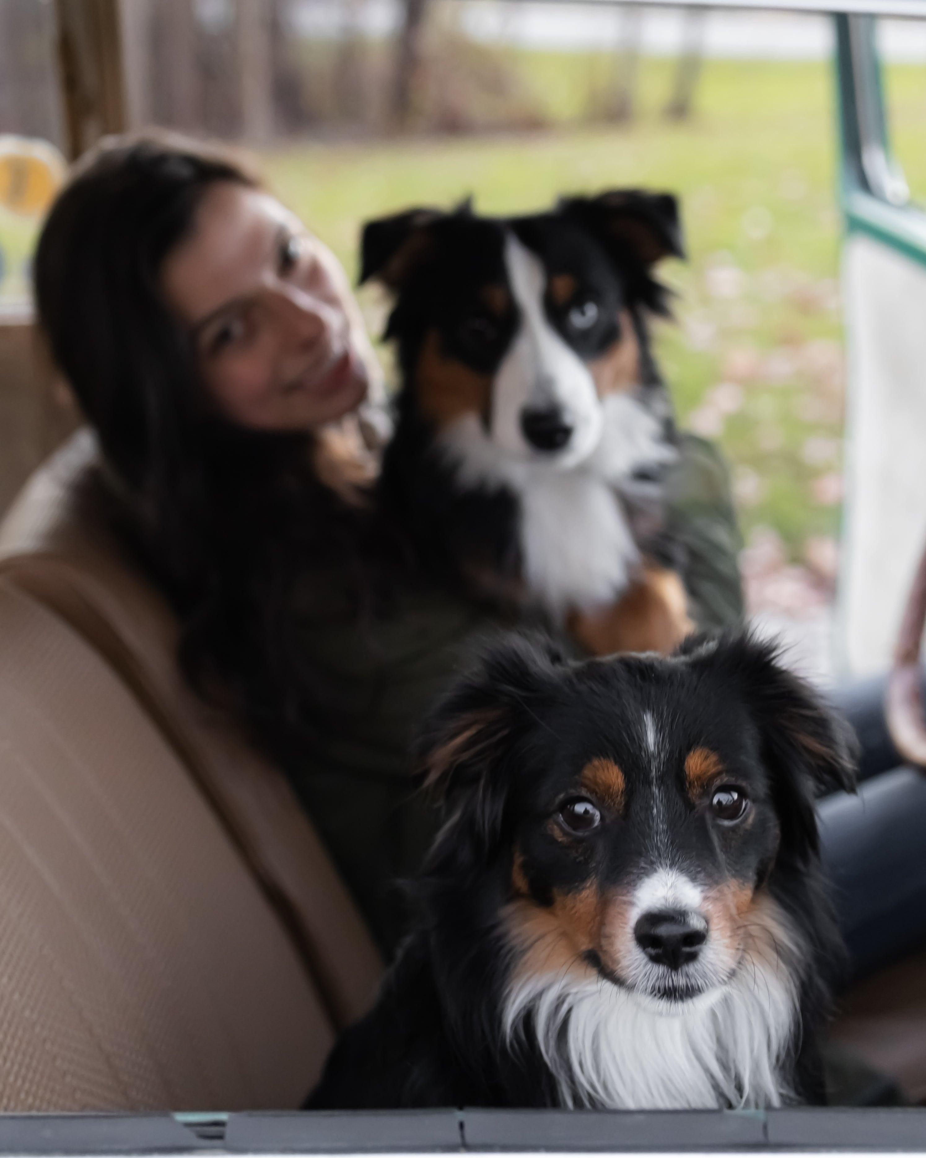Owner and Maker of Cross Winds Leather, featuring her two Miniature Australian Shepherds