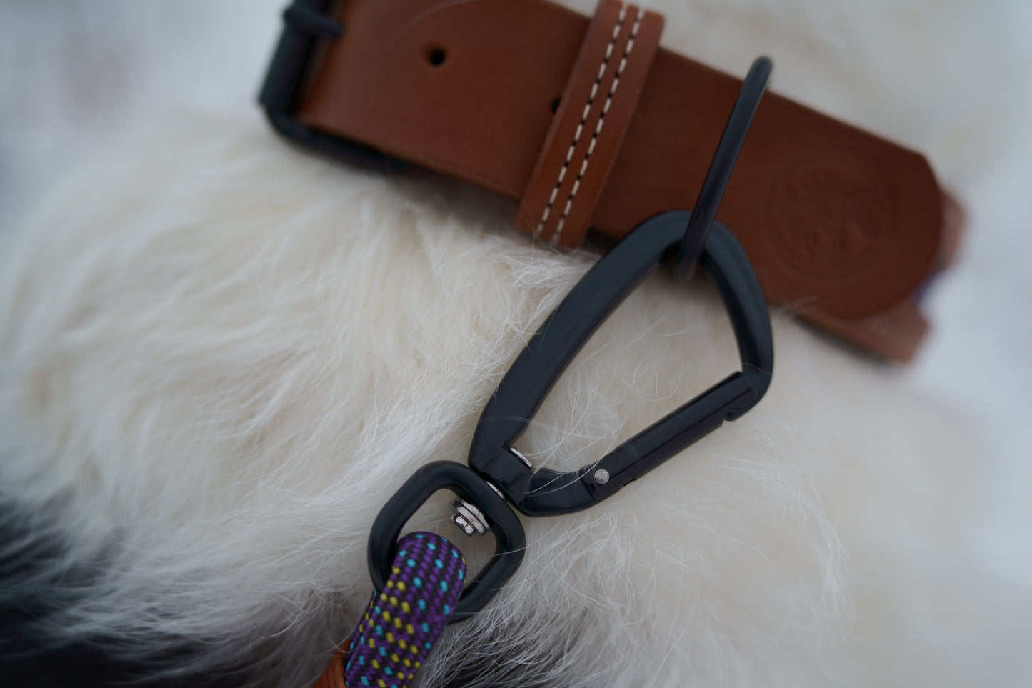 Non-Locking Carabiner