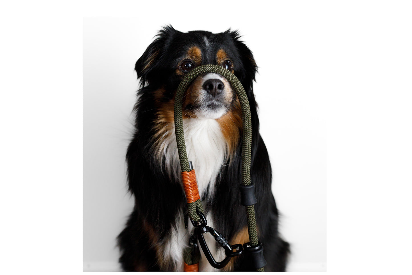 Handcrafted climbing rope and leather hand-free, multi-use dog leash. Featuring black swivel auto-locking carabiners and durable rubber stoppers. Cross Winds Leather.