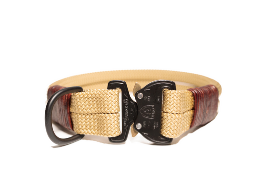 Handcrafted climbing rope and leather fixed dog collar. Featuring high quality hardware, including an AustriAlpin cobra buckle. Custom sizing. Cross Winds Leather.