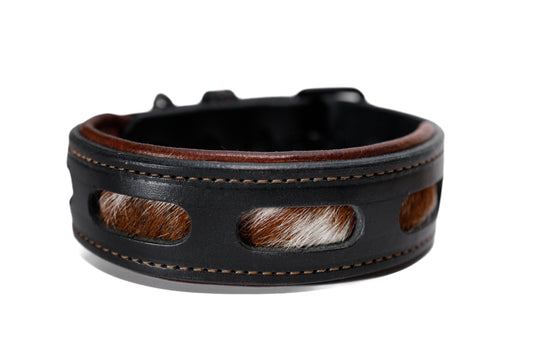 Handcrafted window leather dog collar. Full-grain bridle leather, hair on hide inlays and heavy-duty black hardware. Cross Winds Leather.