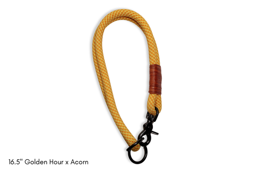 Hybrid Collar