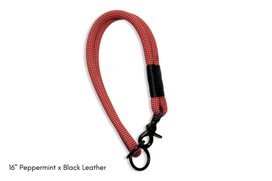 Hybrid Collar