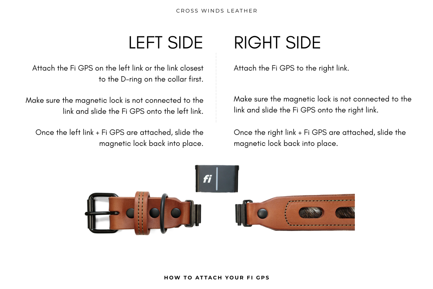 Traditional Luxe Collar • Fi