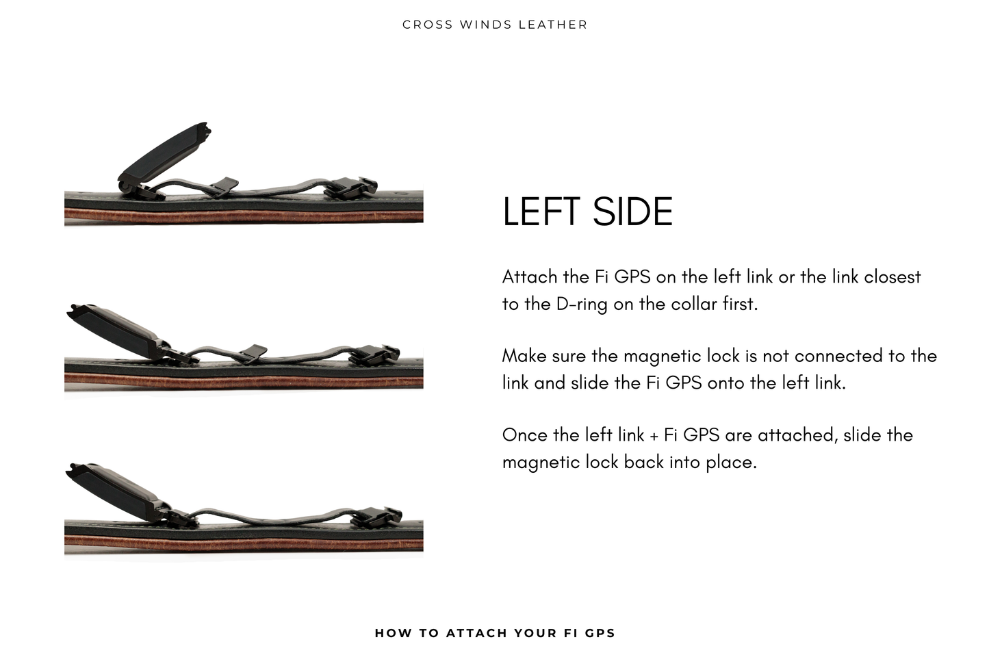 Traditional Luxe Collar (overlay) • Fi