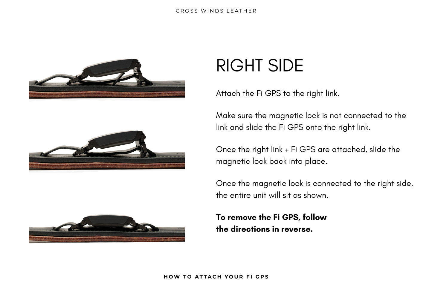 Traditional Luxe Collar (overlay) • Fi