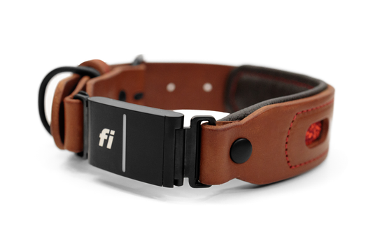 Fi compatible window leather collar, officially tested and approved by Fi. Full-grain bridle leather, climbing rope inlays and heavy-duty black hardware. Cross Winds Leather.