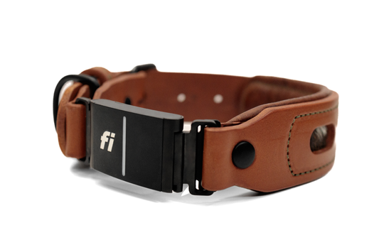 Fi compatible window leather collar, officially tested and approved by Fi. Full-grain bridle leather, hair on hide inlays and heavy-duty black hardware. Cross Winds Leather.