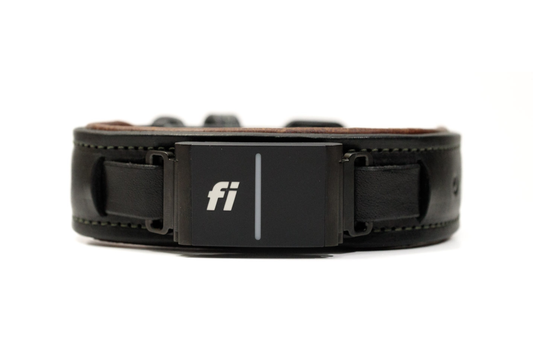 Fi compatible overlay luxe leather collar, officially tested and approved by Fi. Full-grain bridle leather with leather padding and heavy-duty black hardware. Cross Winds Leather.