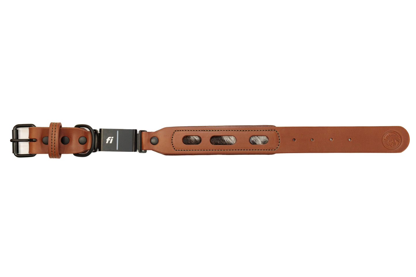 Fi compatible window leather collar, officially tested and approved by Fi. Full-grain bridle leather, hair on hide inlays and heavy-duty black hardware. Cross Winds Leather.