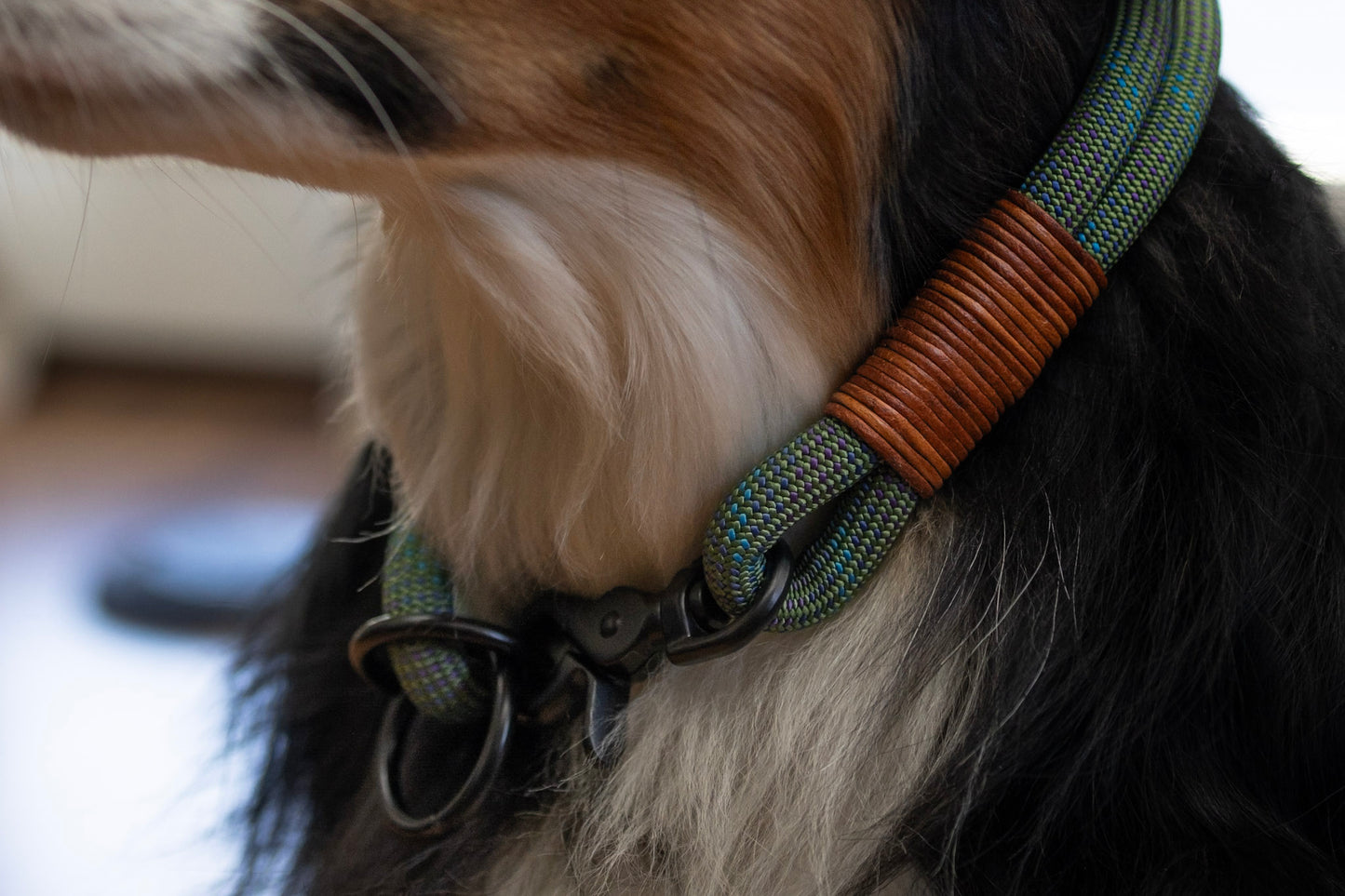 Handcrafted climbing rope and leather hybrid slip dog collar. Featuring high quality black hardware, including a swivel trigger snap. Custom sizing. Cross Winds Leather.