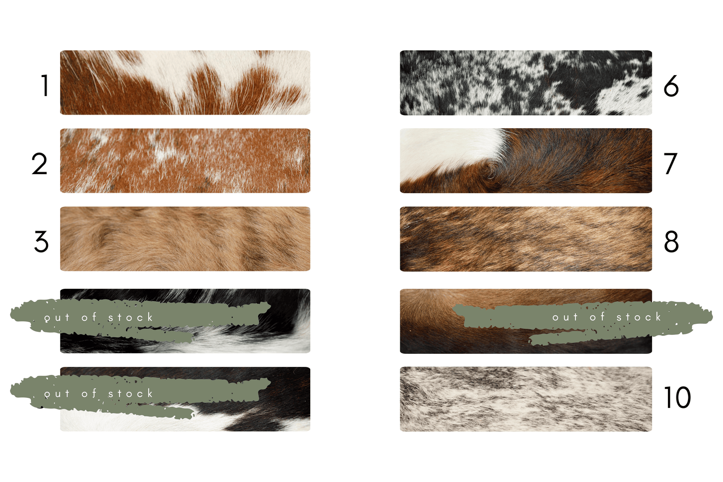 Hair on Hide Window Collar • Fi