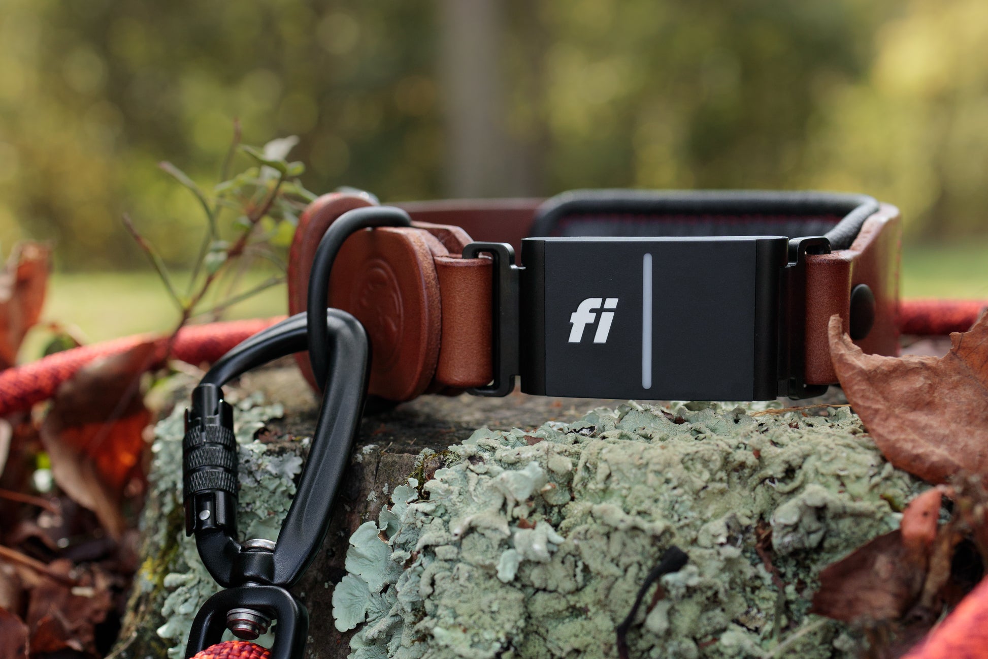 Fi compatible window leather collar, officially tested and approved by Fi. Full-grain bridle leather, climbing rope inlays and heavy-duty black hardware. Cross Winds Leather.
