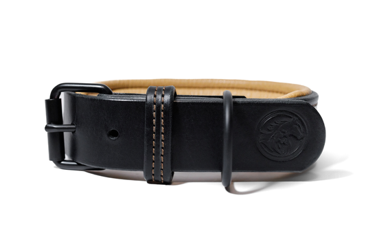 Handcrafted luxe leather dog collar. Full grain bridle leather, leather padding and high quality, heavy-duty black hardware. Multiple widths. Cross Winds Leather.
