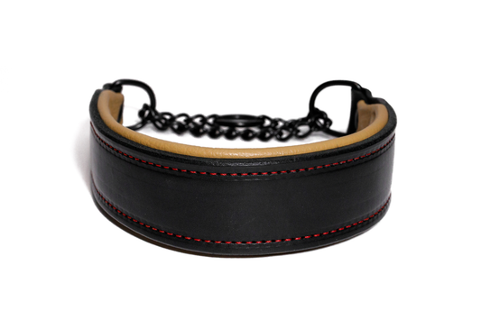 Handcrafted luxe leather martingale dog collar. Full grain bridle leather, leather padding and high quality, heavy-duty black hardware. Multiple widths. Cross Winds Leather.