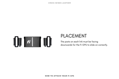 Traditional Luxe Collar (overlay) • Fi