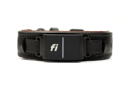 Fi compatible overlay luxe leather collar, officially tested and approved by Fi. Full-grain bridle leather with leather padding and heavy-duty black hardware. Cross Winds Leather.